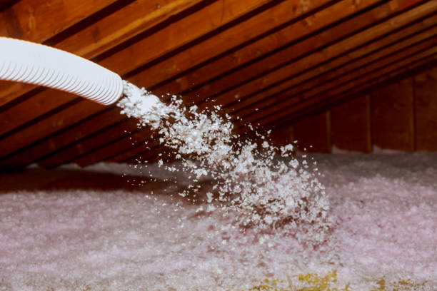 Best Eco-Friendly Insulation in Port Royal, SC