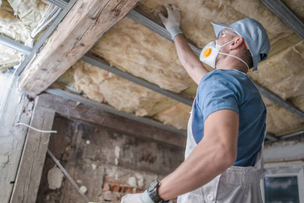Best Specialized Insulation Services in Port Royal, SC