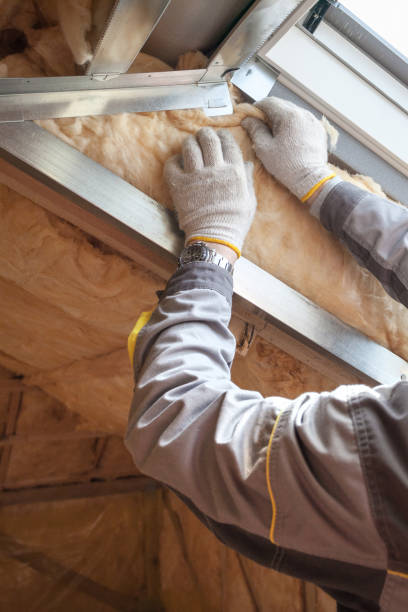 Best Insulation Maintenance and Repair in Port Royal, SC