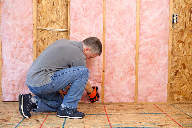 Best Blown-in Insulation in Port Royal, SC