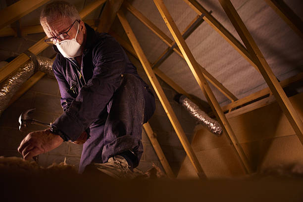 Types of Insulation We Offer in Port Royal, SC